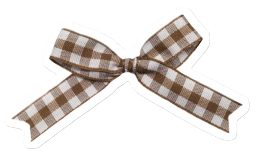 brown gingham bow