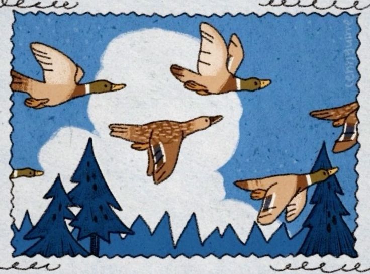 duck stamp