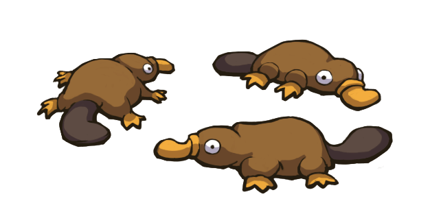 three platypus walking in a circle
